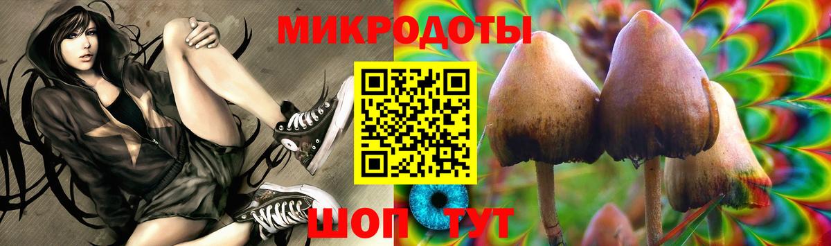 Фролово  Галлюциногенные грибы Psilocybe  Вход с VPN 